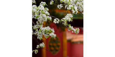 【展會資訊】臺群精機(jī)5月展會一覽，等您來參觀！